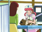 Zigzagoon