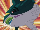 Sharpedo