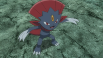 Imagen de Weavile