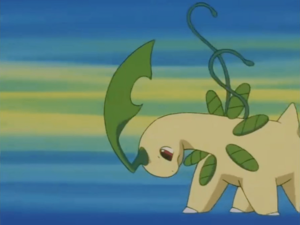 Bayleef usando látigo cepa.