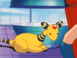 Ampharos