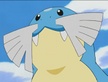 Sealeo