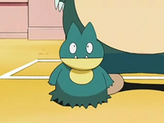 Munchlax