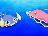 Chinchou