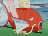 Magikarp