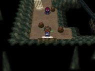El Zoroark de N guiándonos al Castillo de N/Palacio de N (3).