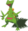 Sceptile (anime RZ).png