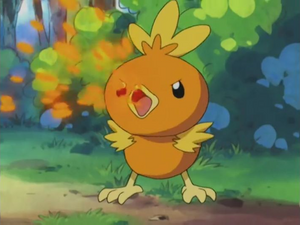 Torchic usando Brasas/Ascuas.