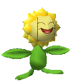 Sunflora