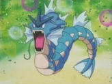 Gyarados