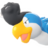 Squawkabilly azul