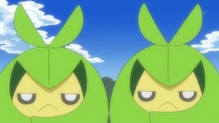 Swadloon