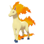 Rapidash