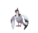 Tranquill EpEc.gif