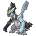 Kyurem negro
