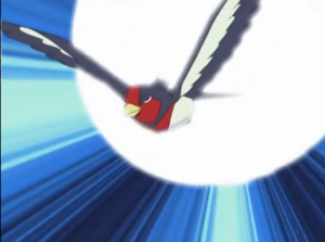 Swellow usando ataque rápido.