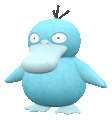 Imagen de Psyduck en Pokémon Escarlata y Pokémon Púrpura