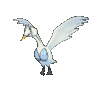 Imagen de Swanna en Pokémon X, Pokémon Y, Pokémon Rubí Omega, Pokémon Zafiro Alfa, Pokémon Sol, Pokémon Luna, Pokémon Ultrasol y Pokémon Ultraluna