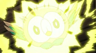 Rowlet de Ash usando picotazo.