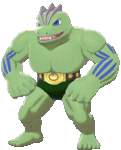 Imagen de Machoke variocolor en Pokémon Espada y Pokémon Escudo