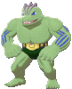 Imagen de Machoke variocolor en Pokémon Espada y Pokémon Escudo