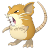 Raticate