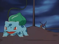 Bulbasaur usando Látigo cepa.