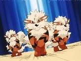 Arcanine