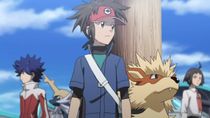 Imagen de Arcanine