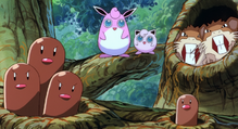 Diglett