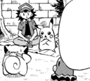 Diglett en PMA20