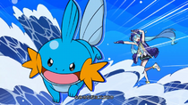 Imagen de Mudkip