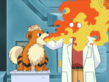 Growlithe