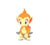 Chimchar