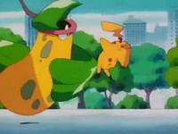 Victreebel de James usando derribo.