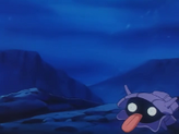 Shellder