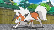 Imagen de Lycanroc