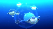 P17 Wailmer y Wailord.png