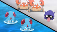 Shellder