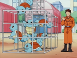 Imagen de Equipo Squirtle (x10)