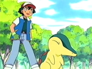 EP264 Ash y Cyndaquil.png