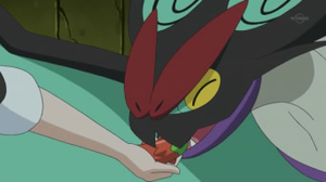 Noivern comiendo una baya Wikano.