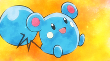 Azurill