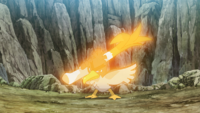 Farfetch’d de Ash usando foco de energía/foco energía.