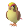 Pidgeot