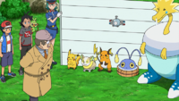 Yamper y el resto de Pokémon de tipo eléctrico del Laboratorio Cerise/Cerezo.