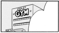 Gimnasio de ciudad Malva en la saga Oro, Plata y Cristal de Pocket Monsters Special.