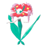 Florges roja