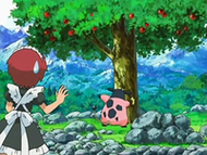El Miltank de Otoño golpeando un árbol para que caigan las manzanas.