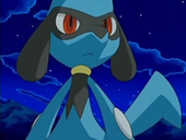 Riolu